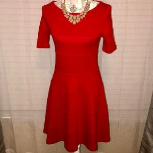 NWT ZARA FLARE DRESS